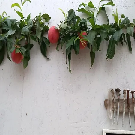 Hartvig - 800m From The Sea By Interhome Semesterbostad