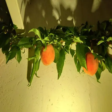 Hartvig - 800m From The Sea By Interhome Semesterbostad Laeso